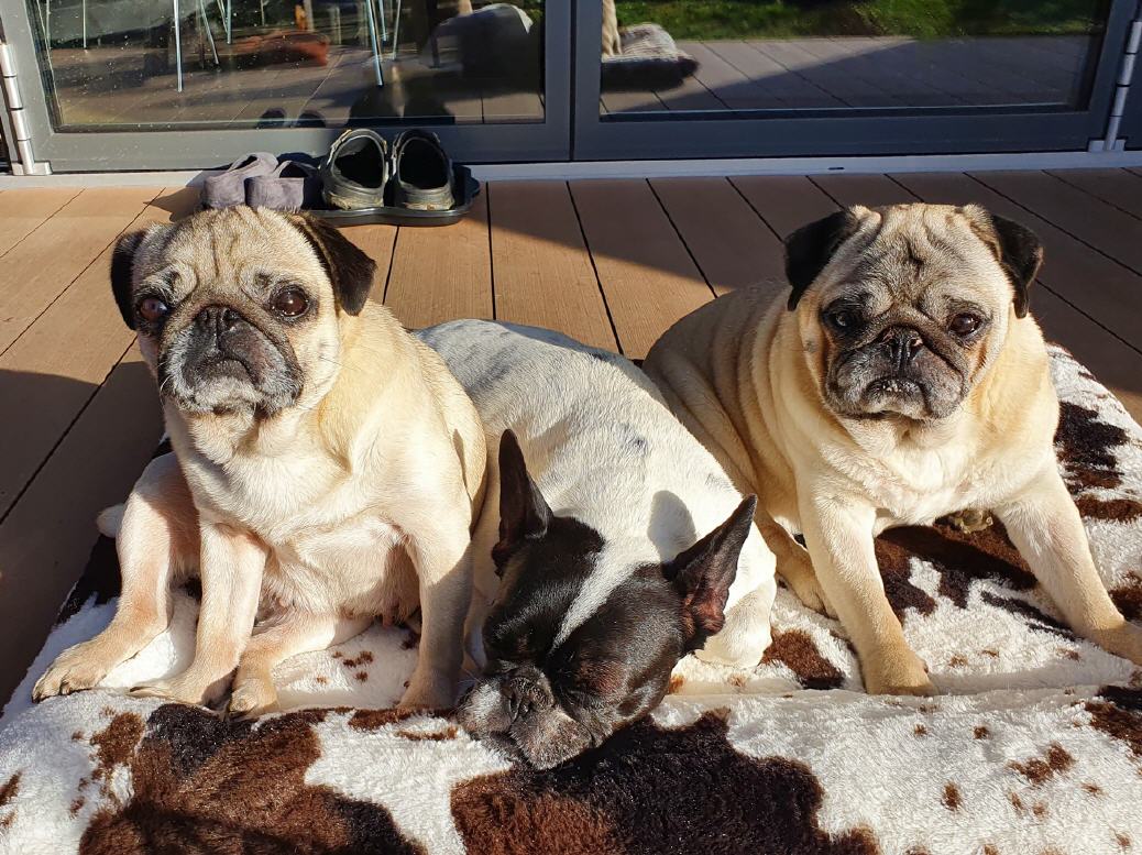 George & Mimi ...